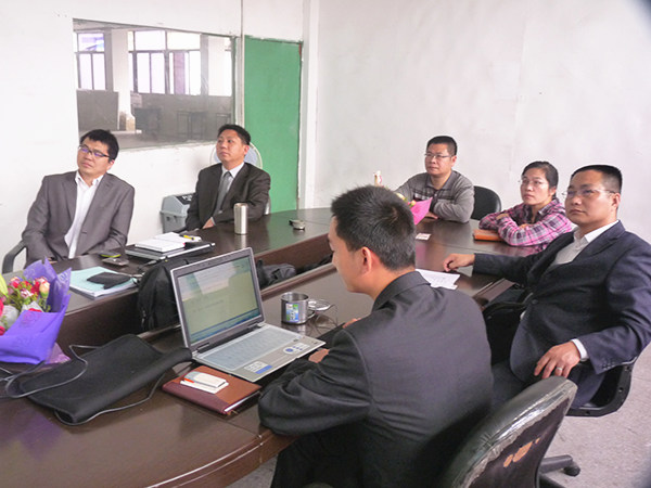 2011年3月15日，正睿咨詢專家向凱東決策層陳述調(diào)研報告