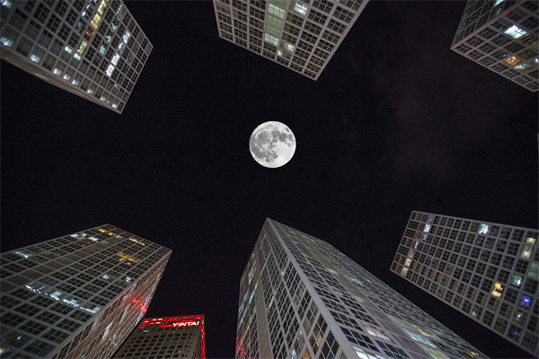 「營銷管理咨詢」解鎖社交媒體的力量，讓品牌騰飛！