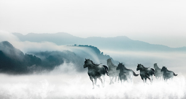 企業(yè)戰(zhàn)略規(guī)劃：為企業(yè)制定全面、長遠(yuǎn)的發(fā)展戰(zhàn)略