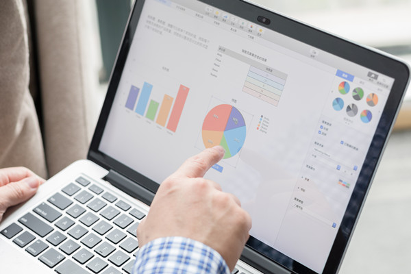 預(yù)算控制咨詢：協(xié)助企業(yè)建立控制體系，確保預(yù)算執(zhí)行