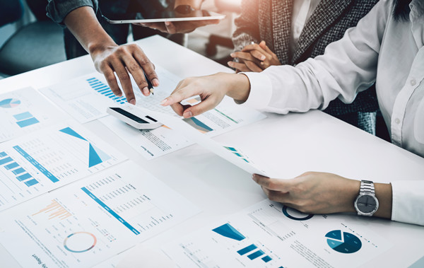 預(yù)算分析咨詢：提供分析工具與策略，幫助企業(yè)發(fā)現(xiàn)問題