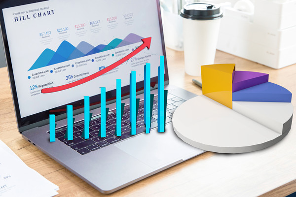 預(yù)算分析：通過數(shù)據(jù)分析，優(yōu)化預(yù)算管理