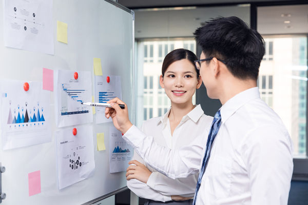 組織咨詢(xún)：協(xié)助企業(yè)制定組織發(fā)展戰(zhàn)略，推動(dòng)組織成長(zhǎng)