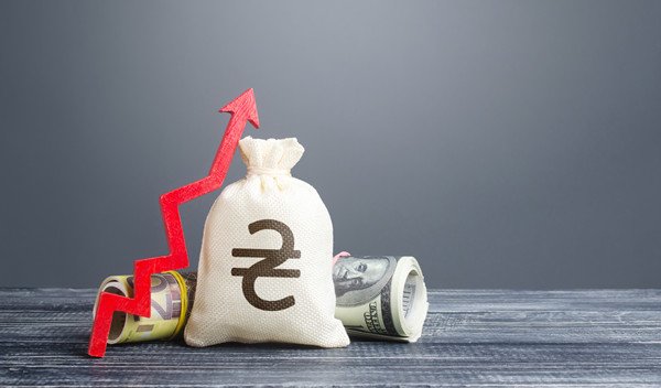 預(yù)算管理中的風(fēng)險(xiǎn)評(píng)估與應(yīng)對(duì)策略有哪些？