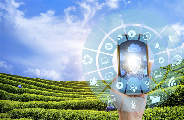 在精益轉(zhuǎn)型中，如何平衡標(biāo)準(zhǔn)化作業(yè)與靈活性需求？