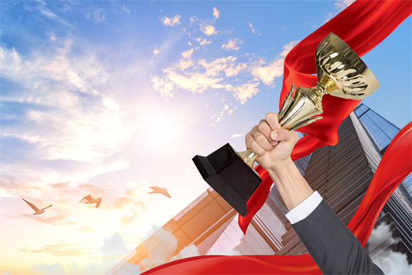 如何確保戰(zhàn)略規(guī)劃與企業(yè)文化及價值觀相契合？