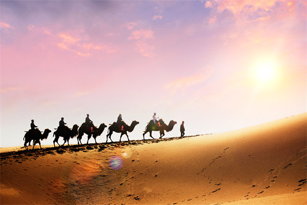 企業(yè)文化在人力資源管理中，扮演著怎樣的角色？