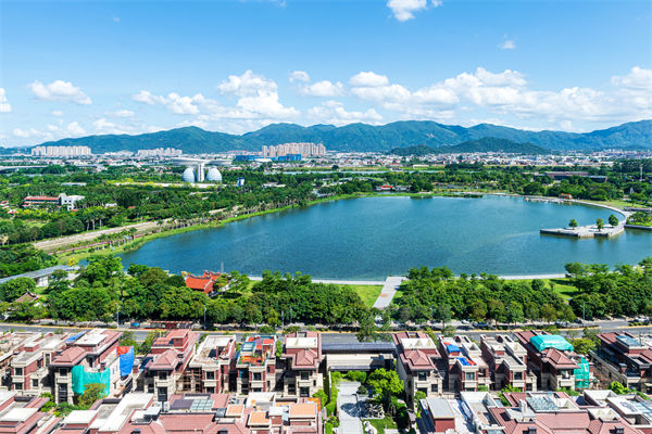 漳州戰(zhàn)略咨詢(xún)公司如何為企業(yè)定制長(zhǎng)遠(yuǎn)發(fā)展藍(lán)圖？