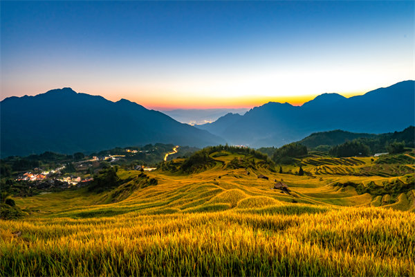 麗水組織規(guī)劃咨詢公司如何為企業(yè)構(gòu)建高效組織架構(gòu)？