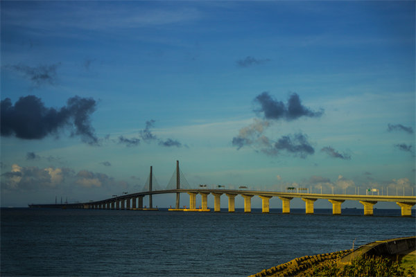 珠海年度經(jīng)營計劃咨詢公司能否提供全面的市場趨勢分析？