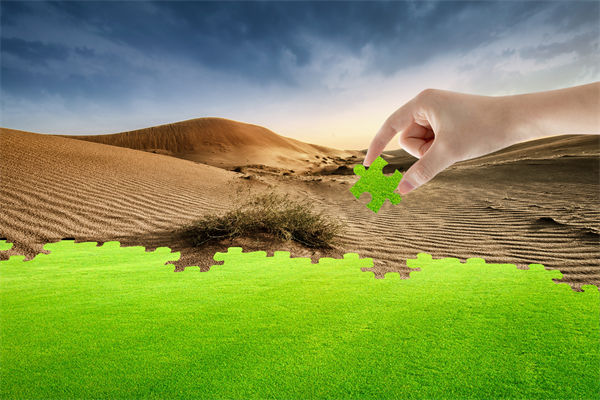 企業(yè)深陷困境，管理咨詢?nèi)绾我岳做侄未蚱瓢l(fā)展僵局？