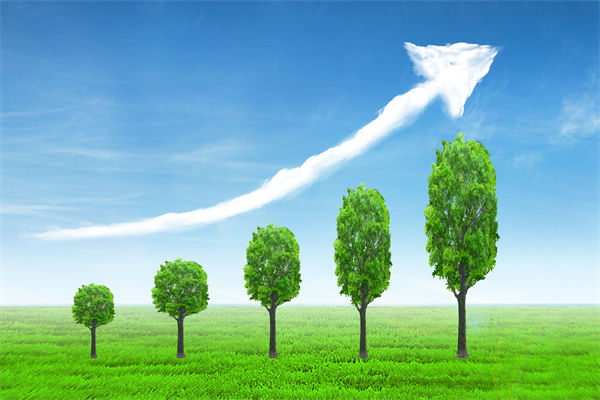 植樹就是植未來，對企業(yè)的戰(zhàn)略規(guī)劃有哪些啟示？