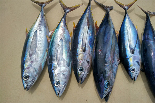 商務(wù)部：將幫助外貿(mào)企業(yè)擴(kuò)寬內(nèi)銷渠道，政策解讀！