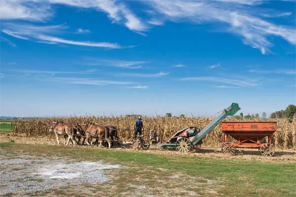 從績效管理角度分析：中國買巴西大豆讓美國農(nóng)民慌了