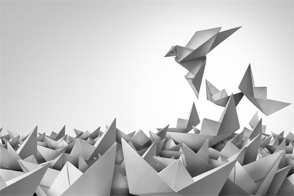 變革期文化斷層，如何用管理體系凝聚團隊共識？