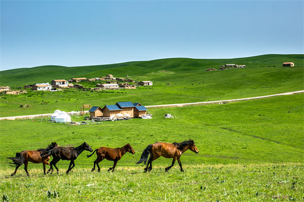 飛新疆的機票價格漲爆了，什么情況？是營銷炒作？