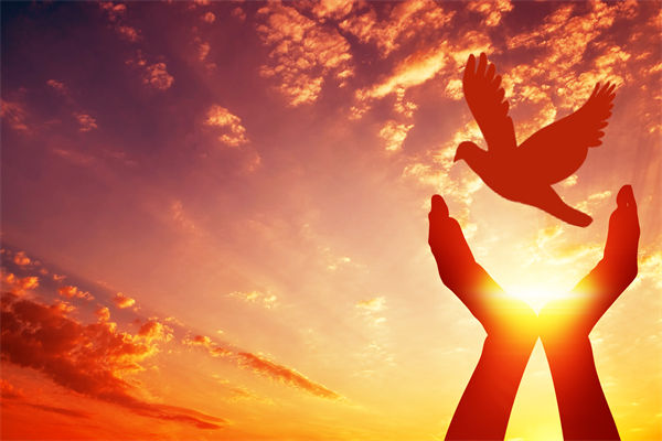 別讓盲卡盲盒“收割”孩子，關(guān)聯(lián)企業(yè)戰(zhàn)略怎么看？