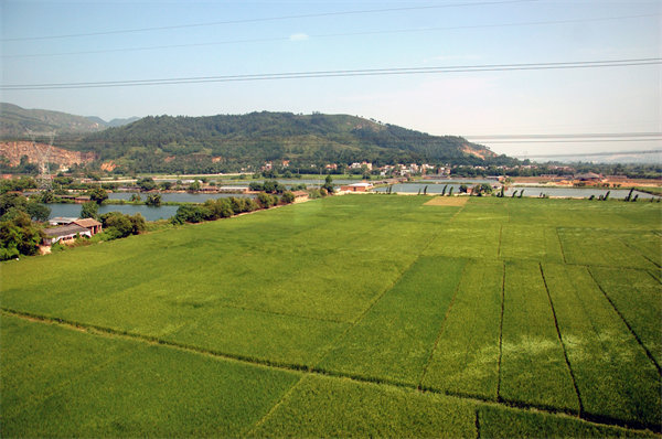 清遠(yuǎn)人力資源咨詢公司量體裁衣，如何激活企業(yè)人才發(fā)展新動(dòng)能？