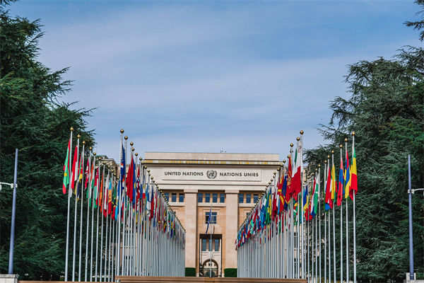 英法等25國發(fā)表聯(lián)合聲明，企業(yè)組織規(guī)劃有何啟示？