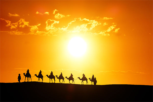 高層標(biāo)榜的企業(yè)文化，如何穿透形式真正落地生根？