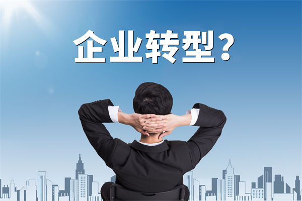 企業(yè)轉(zhuǎn)型無方向，數(shù)智化咨詢公司能否指引明路？