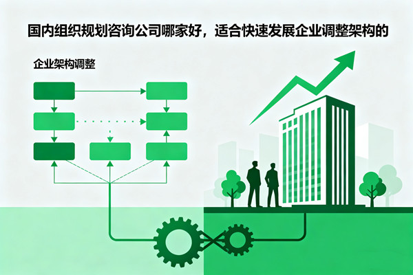 國內組織規(guī)劃咨詢公司哪家好，適合快速發(fā)展企業(yè)調整架構的