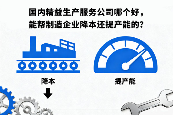 國內(nèi)精益生產(chǎn)服務(wù)公司哪個(gè)好，能幫制造企業(yè)降本還提產(chǎn)能的？