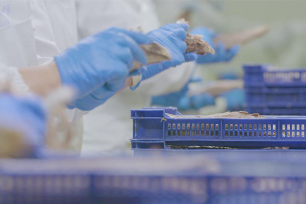 本土駐廠精益生產(chǎn)咨詢哪家強，能快速提升產(chǎn)線流轉(zhuǎn)效率么？